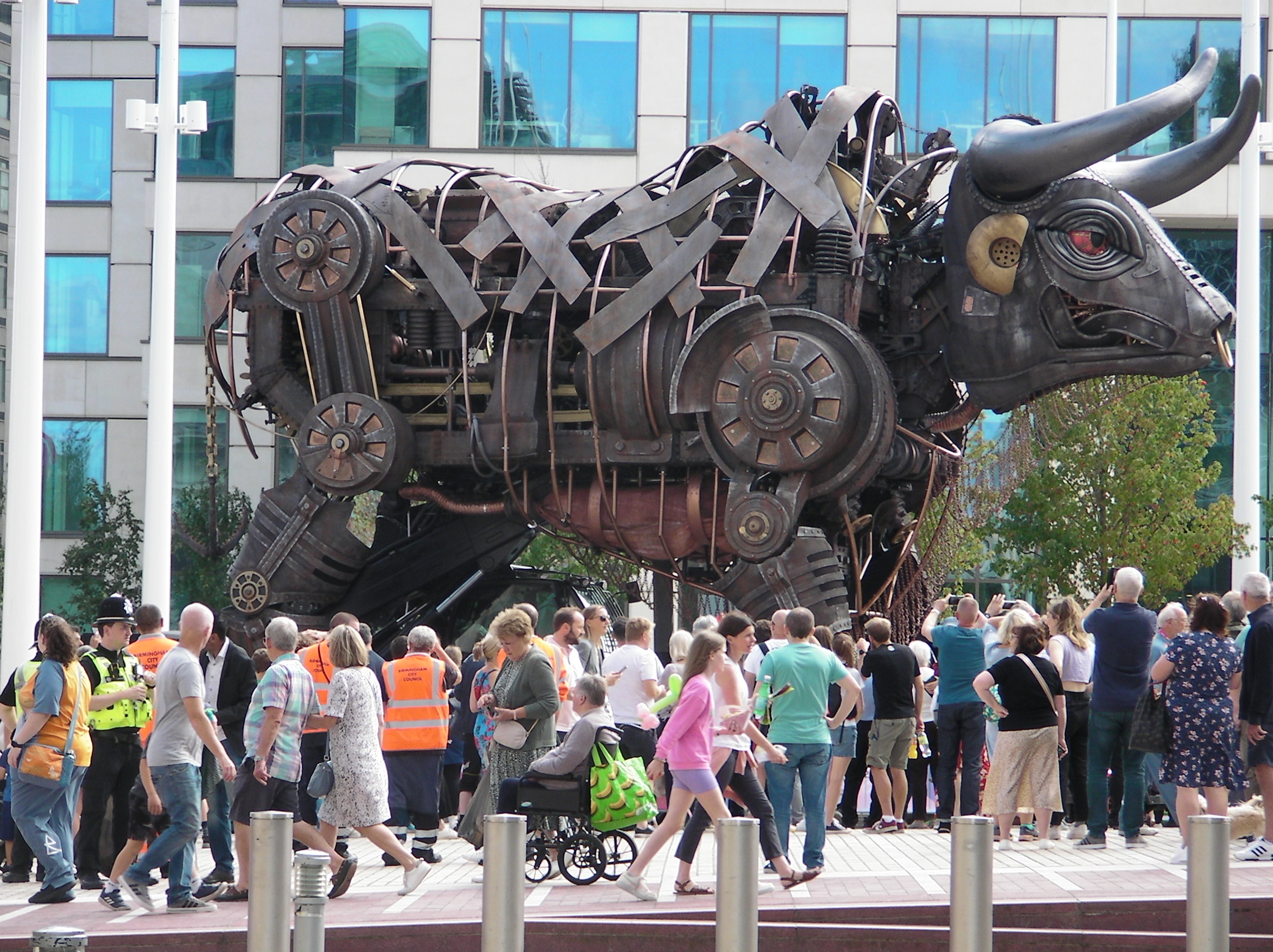 Commonwealth Games Bull